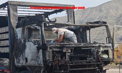 Erzurum-Artvin Karayolunda Gürcü Plakalı Tır Alev Topuna Döndü