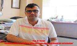 Yapay Zeka Kardiyovasküler Hastalıkların Erken Tanısında Devrim Yaratıyor