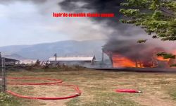 Erzurum İspir'de Ormanlık Alanda Korkutan Yangın