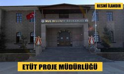 AYDINLATMA DİREKLERİ SATIN ALINACAKTIR
