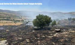 Elazığ Sivrice’de Otluk Alanda Çıkan Yangın Korkuttu