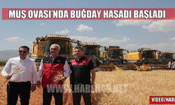 Muş Ovası'nda buğday hasadı başladı: Türkiye'nin üçüncü büyük tarım alanında bereketli sezon