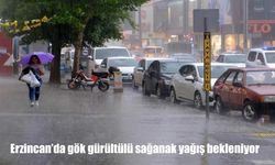Erzincan’da Sağanak ve Gök Gürültülü Yağış Alarmı!