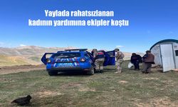 Tunceli'de yaylada rahatsızlanan kadının yardımına ekipler koştu