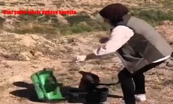Yaralı Kızıl Şahin Doğaya Yeniden Kanat Çırptı!