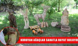 Muş’ta kuruyan ağaçlar ve kireç taşları sanat eserine dönüşüyor