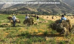 Hakkari Yüksekova’da Kızgın Güneş Altında Geçim Mücadelesi: Çiftçilerin Zorlu Ot Biçme Mesaisi