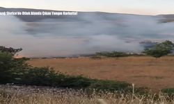 Elazığ Sivrice’de Otluk Alanda Çıkan Yangın Korkuttu!
