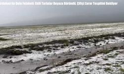 Ardahan’da Dolu Felaketi: Ekili Tarlalar Beyaza Büründü, Çiftçi Zarar Tespitini Bekliyor