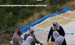 Erzurum’un Olur İlçesinde Pekmez Ocakları Bu Kez Pestil İçin Yandı!