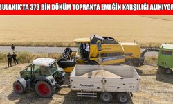 Bulanık’ta buğday hasadı başladı