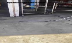 Bingöl'de Oto Tamirhanesine Giren Yılan Korku Dolu Anlar Yaşattı