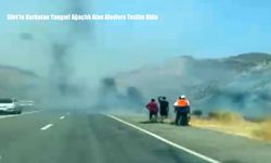Siirt’te Korkutan Yangın! Ağaçlık Alan Alevlere Teslim Oldu