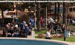 Erzincan'da Kavurucu Sıcaklar Etkisini Gösterdi: Termometreler 39 Dereceyi Gördü, Sokaklar Boşaldı