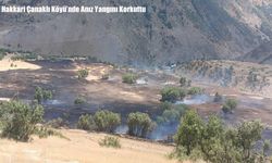 Hakkari Çanaklı Köyü’nde Anız Yangını Korkuttu
