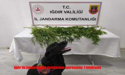 Jandarmadan Zehir Tacirlerine Geçit Yok