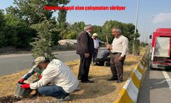 Belediye Başkanı Taşkın’dan Sabah Denetimi: “Patnos’a Nefes Aldıracağız”