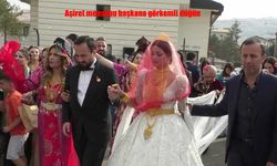 AK Parti’li Başkanın Aşiret Düğününde Görkemli Buluşma