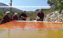Erzincan’da Kadınların İmece Geleneği: Kazanlar Pestil ve Pekmez İçin Kaynıyor