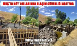 Muş'ta köprü ve menfez seferberliği