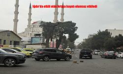 Iğdır’da Şiddetli Fırtına Etkili Oldu: Cadde ve Sokaklar Çöple Doldu