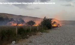 Van Tuşba’da Ağaçlık Alanda Yangın Paniği: Ekipler Kürekle Müdahale Etti