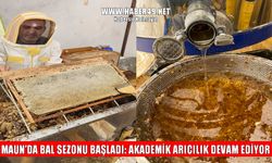 Muş’ta 2025 bal hasadı başladı: Verim düştü, kalite korundu