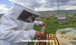 Ardahan Arı Yetiştiricileri Birliği Başkanı Evliyaoğlu: "Hakiki bal donup kristalize olur''