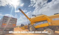 Tarım Emekçileri Sabahın İlk Işıklarıyla Tarlalarda