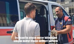 Park Halindeki Araçtan Gelen Sesler, Sürücüyü Harekete Geçirdi
