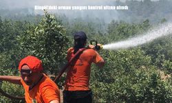 Bingöl’de Ormanlık Alanda Çıkan Yangın Ekiplerin Yoğun Çabasıyla Söndürüldü