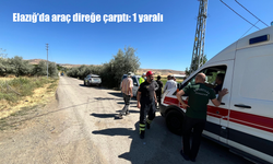 Elazığ’da hafif ticari araç direğe çarptı: 1 kişi yaralandı