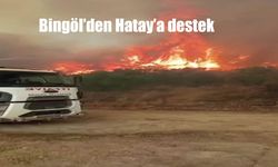 Bingöl İtfaiye Ekipleri Hatay’daki Yangınlara Müdahale İçin Görev Başında