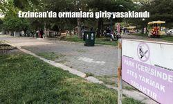 Valilik duyurdu! Erzincan'da ormanlara giriş yasaklandı