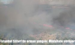 Silivri Çanta’da orman yangını: Müdahale havadan ve karadan devam ediyor