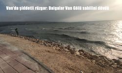 Van Gölü’nde Fırtına Etkisi: Şiddetli Rüzgar Sahil Şeridini Vurdu