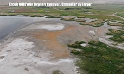 Van'ın doğal güzelliği tehlikede: Erçek Gölü'nde kuruma alarmı