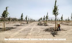 Van’a yeni nefes alanı: Ihlamur Parkı Doğayla Buluşuyor