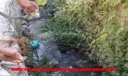 Hakkari’de Kiralık Evin Tavanında Yuva Yapan Yılanlar Mahalleliyi Korkuttu