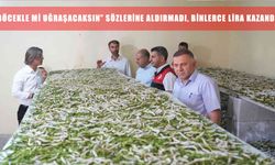 Muş'ta ipek böceği yetiştiriciliğiyle yeni bir kazanç hikayesi yazılıyor