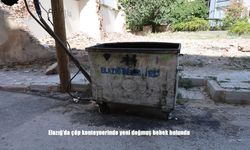 Çöpten Gelen Bebek Ağlaması Mahalleliyi Harekete Geçirdi