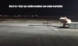 Kars’ta Balkondan Ayı Saldırısından Son Anda Kurtuldu! Dehşet Anları Kamerada
