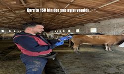 Kars’ta Şap Hastalığına Karşı 150 Bin Doz Aşı Uygulandı