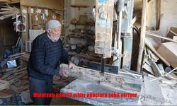 Malatyalı usta 73 yıldır ağaçlara şekil veriyor