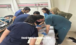 Elazığ’da Kene Tehlikesi: Müzik Öğretmenini Isıran Kene Hastanede Çıkarıldı