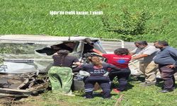 Iğdır’da Süt Kamyoneti Şarampole Yuvarlandı: 1 Kişi Yaralandı