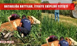 Muş’ta bataklığa saplanan hayvanlar kurtarıldı