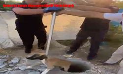Batman’da kuyuya düşen yavru köpeği itfaiye ekipleri kurtardı