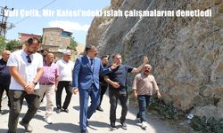 Vali Ali Çelik, Mir Kalesi’nde Devam Eden Islah Çalışmalarını Yerinde İnceledi