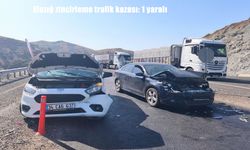 Elazığ Maden'de zincirleme trafik kazası: 1 yaralı